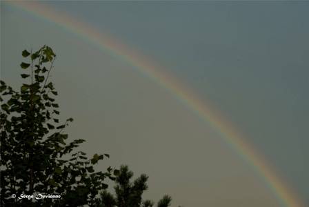 DSC07151idctxw.jpg - Les couleurs de l'arc en ciel.