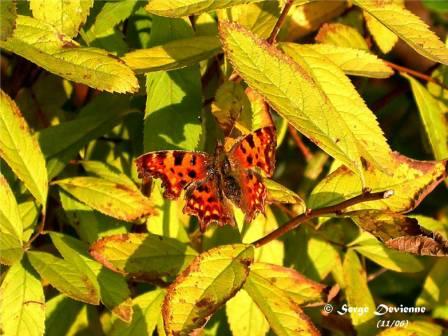 GFinsp_DSCN8792arw.jpg - Robert-le-diable