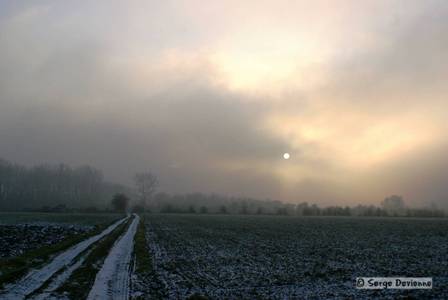 DSC02683aptw.jpg - Brume hivernale sur la voie de Masny.