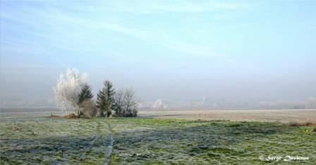 DSCN2598mdtxw.jpg - Givre et lumière Derrière les Jardins  - Masny