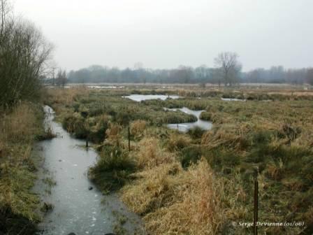 vnDSCN5892cmotw.jpg - Marais du Bois de Bias vers Pecquencourt