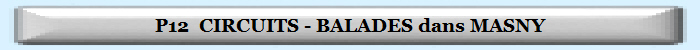 P12  CIRCUITS - BALADES dans MASNYOSTREVANT